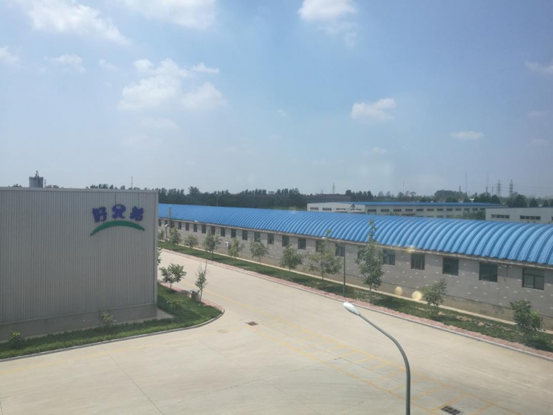 T+助“邢臺(tái)好兄弟食品有限公司”冰爽整個(gè)夏天